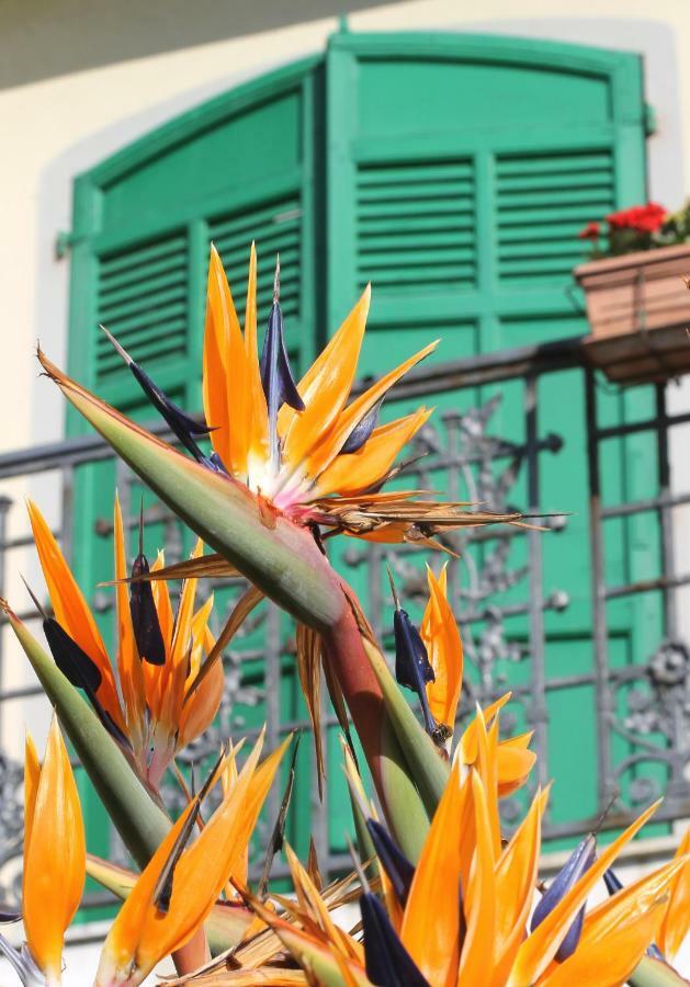 Albergo Ristorante Lucciola ซานตาสเตฟาโน อัล มาเร ภายนอก รูปภาพ
